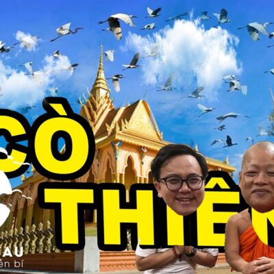 Ngôi chùa ẩn chứa linh khí hút hàng triệu con cò bay về cư trú suốt 300 năm