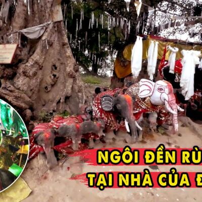 Ngôi Đền Bí Hiểm Phật Tử Không Ai Dám Vào Trong Thành Ca Tỳ La Vệ