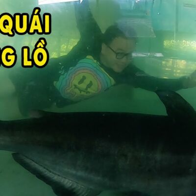 Nơi bảo tồn Thuỷ Quái sông Mê Kông lớn nhất Việt Nam | Phần 1